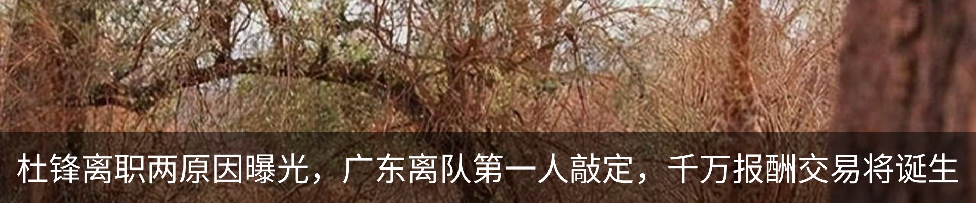 新闻中心