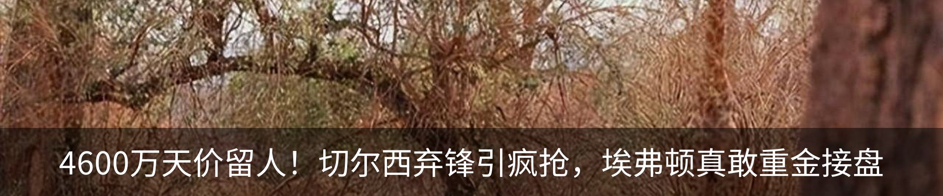 新闻中心